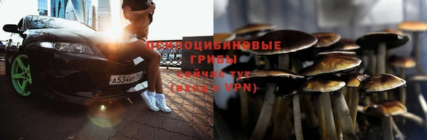 меф Заводоуковск